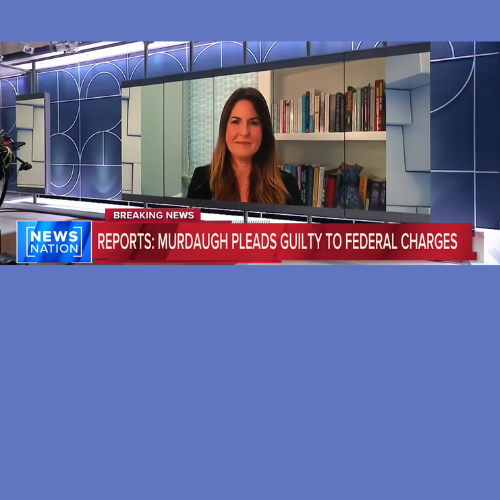 NewsNation - Rachel Fiset on Murdaugh Pleading Guilty to 22 Federal Financial Crimes