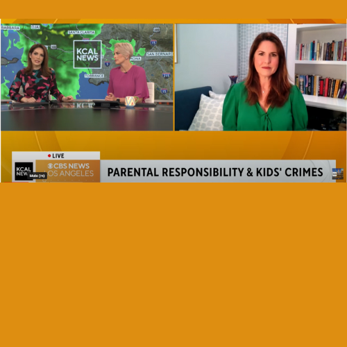 KCAL News - Rachel Fiset on Parental Responsibility and Kid's Crimes