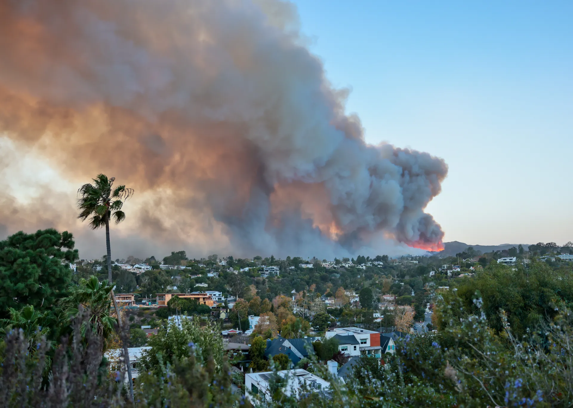 LA County Fires Litigation